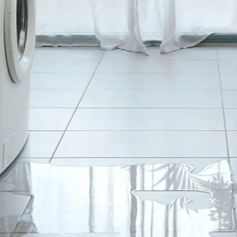 Appliance Leak Cleanup in Grant County, KS