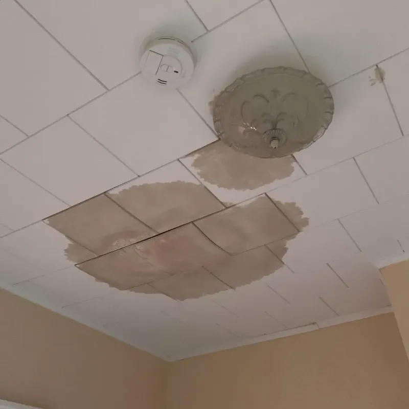 Ceiling Water Damage Repair in Grant County, KS
