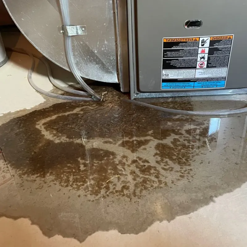 Pipe Burst and Leak Restoration in Grant County, KS