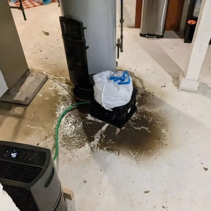 Sewage Backup Cleanup Service in Grant County, KS